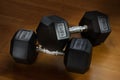 Fifteen Kilograms hexagon dumbells on the floor