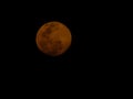 Gibbous moon as background