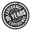 Fifth teen years experience stamp Royalty Free Stock Photo