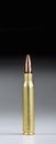 Fifty Caliber Bullet. Royalty Free Stock Photo