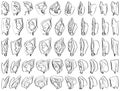 50 Human Ears (Complicated Perspective) - Digital Art