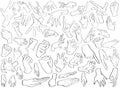 Fifty Expressive Human Hands (Hard Foreshortening) - Digital Art