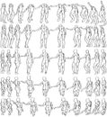 50 Female Bodies (23-26) 3D to 2D