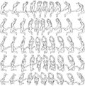 50 Male Bodies (5-20) 3D to 2D