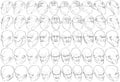 50 Male Heads (19-20) 3D to 2D