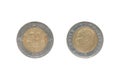 Fifty Turkish kurush coin
