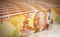 Fifty Turkish lira Royalty Free Stock Photo