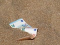 Fifty and twenty euro banknote in sand on the beach with copy space