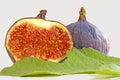 Fig