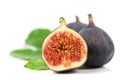 Fig