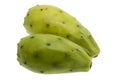 Fig of the cactus, prickly pear