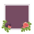 Fig card template2 Royalty Free Stock Photo