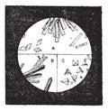 Fig. 3. A. Crystals of hemoglobin in the blood of man. B. Crystals of hemoglobin of the cat. C. Crystals of hemoglobin of the