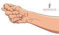 Fig fico hand sign, detailed vector illustration. Royalty Free Stock Photo