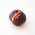 Fig or fig tree, or common fig tree, or Ficus carica is a subtropical deciduous plant of the genus Ficus of the Mulberry