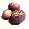 Fig or fig tree, or common fig tree, or Ficus carica is a subtropical deciduous plant of the genus Ficus of the Mulberry