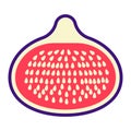 Fig flat icon, fruit and diet, vector graphics Royalty Free Stock Photo