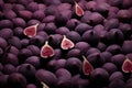 Fig food purple ripe fruit organic fresh