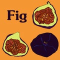 Fig fruit cartoon vector sketch for banner stiker postcard