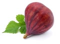Fig fruit with green leaf isolated on white. Clipping Path Royalty Free Stock Photo