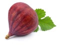 Fig fruit with green leaf isolated on white. Clipping Path Royalty Free Stock Photo