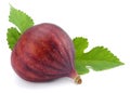 Fig fruit with green leaf isolated on white. Clipping Path Royalty Free Stock Photo