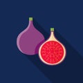 Fig fruit icon cartoon vector on blue background Royalty Free Stock Photo