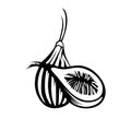 FIG Fruit Logo design. Figs fruit vector illustration