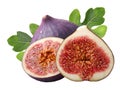 Fig fruits Ficus carica, paths