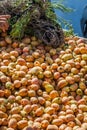 Fig fruits in Marrakesh market in Morocco Royalty Free Stock Photo