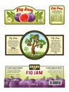 Fig jam label design, emblem sticker template, natural fruit marmalade packaging, vector illustration Royalty Free Stock Photo