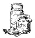 Fig jam vector drawing. Fruit Jelly and marmalade. Glass jars with fig jam. Royalty Free Stock Photo