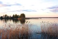 Fig lake in the evening. Summer. Royalty Free Stock Photo