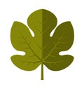 Fig leaf Royalty Free Stock Photo
