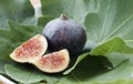 Fig Royalty Free Stock Photo