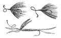 Fig. 49. Palmer. Fig. 50. Ant wing in August. Fig. 51. little Peacock, vintage engraving