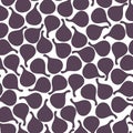 Fig seamless vector pattern on white background