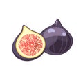 Fig, purple whole fruit and half. Royalty Free Stock Photo