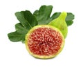Fig ripe red