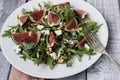 Fig salad Royalty Free Stock Photo