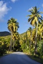 Fig Tree Drive, Antigua