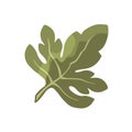 Fig tree leaf on a branch illustration Royalty Free Stock Photo
