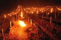 Fight against the frost in the vineyard in Burgundy.