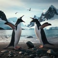A fight breaks out between two Antarctic penguins Royalty Free Stock Photo