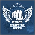 Fight club MMA Mixed martial arts