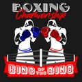 Fight cub, boxing center, boxing championship logo, banner, flyer Royalty Free Stock Photo