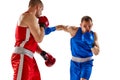 Fight. Dynamic portrait of two professional boxer in sports uniform boxing isolated on white background. Concept of Royalty Free Stock Photo