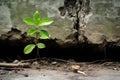 Fight for a green future - stock picture