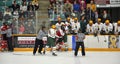 Fight in a NCAA Hockey Game