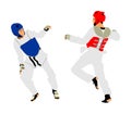 Fight between two taekwondo fighters illustration isolated. Sparring on training action.